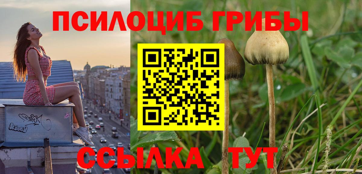 Псилоцибиновые грибы Cubensis  Псилоцибиновые грибы Cubensis  Вход с VPN  Каменск-Уральский 